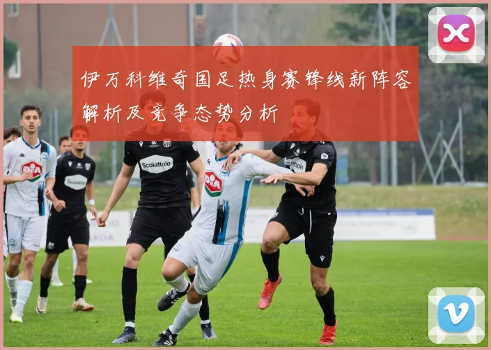 伊万科维奇国足热身赛锋线新阵容解析及竞争态势分析