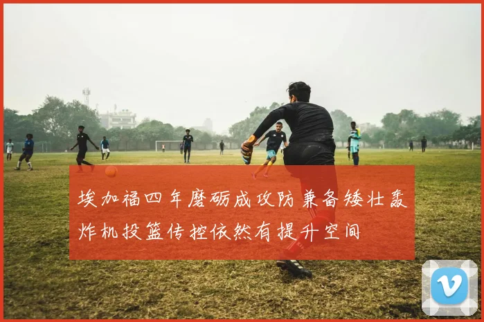 埃加福四年磨砺成攻防兼备矮壮轰炸机投篮传控依然有提升空间